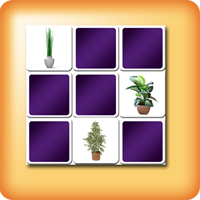 Jeux de memory plantes vertes pour séniors