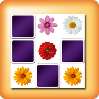 Jeux de mémory fleurs pour séniors